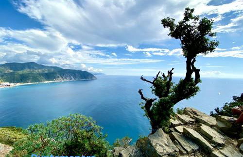 Attico con terrazza fronte mare a Cavi di Lavagna - Foto 5