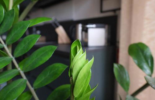 Ferienwohnung Der Gerber - Foto 28