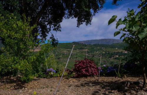 Bosque da Fantasia - Foto 20