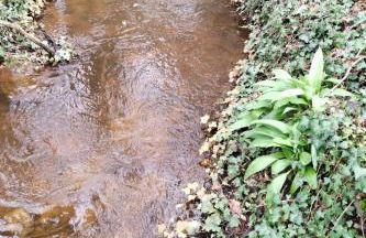 Holiday Home Itzinger by Interhome - Foto 17