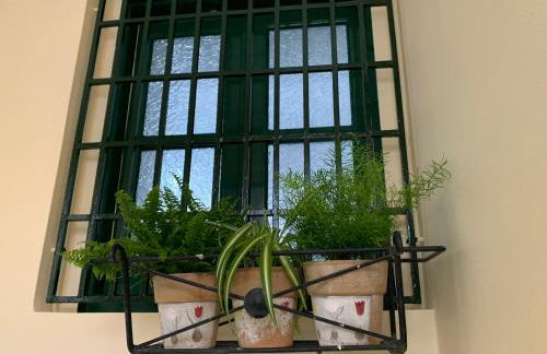 BougainVilla - Foto 31