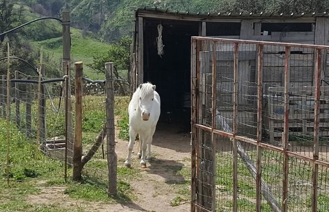Agriturismo Mama Lina - Photo 31