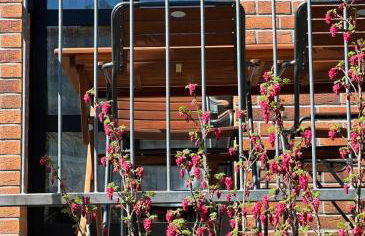 Fewo Eifel Dahlem Nationalpark Sonnenterrasse & Kamin - Foto 20