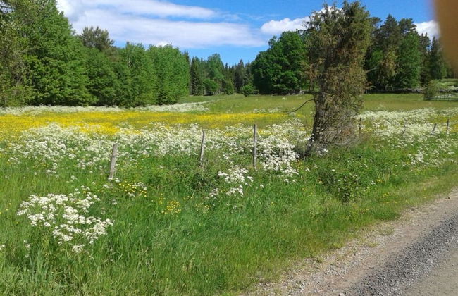 Pleasant Apartment in Bjurvik - Foto 23