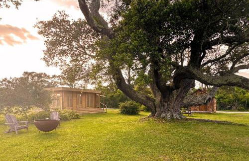 Tranquil Modern Farm Cabin - Foto 27