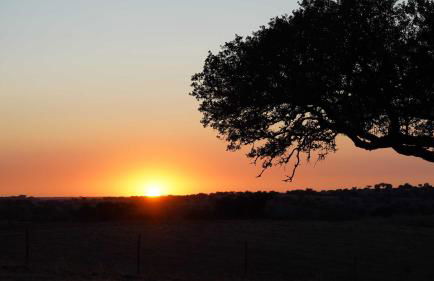 Agroturismo Xistos - Foto 52