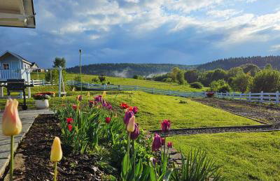 Domek Polna Cisza Bieszczady - Foto 7
