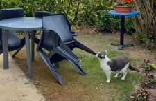 En plein cœur de l’Île d'Oléron, suite parentale. - Foto 16