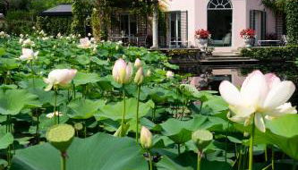 Relais La Foleia - Luxury Villa with private lake - Foto 2, Garden