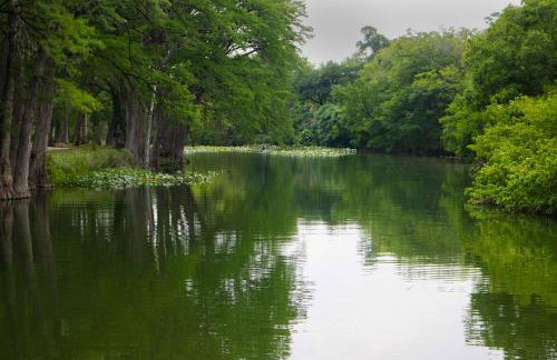 Mariposa Monarch - Walk to River - Foto 65