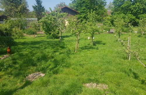 Casa Piedro - Foto 79