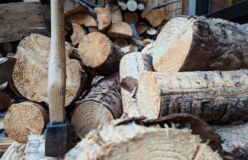 Landhaus Seiffen - Foto 20