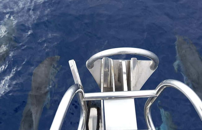 Sailing Trip from Tazacorte - Foto 7