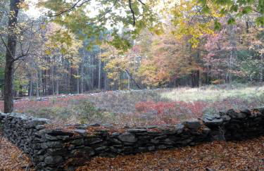 Apple Orchard & Forest Retreat with Woodland Pond - Foto 7