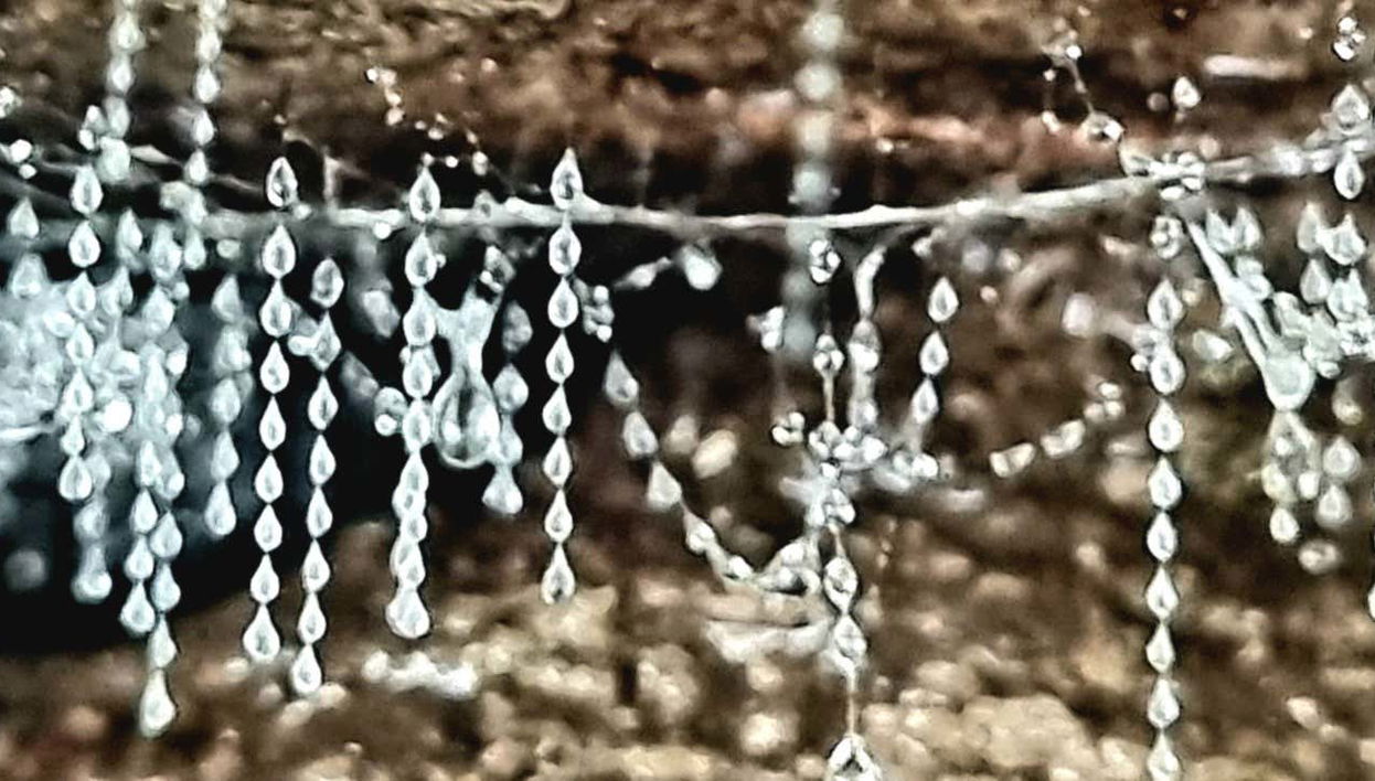 Glow Worm Caves Night Tour - Foto 1