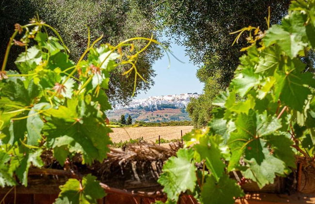 La Casa del Torero - Foto 1