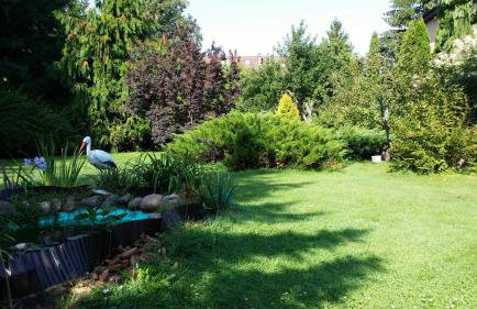 Kwiatowa Zagroda - Foto 4