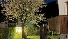 Casa di Tea - Foto 2