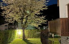 Casa di Tea - Foto 2