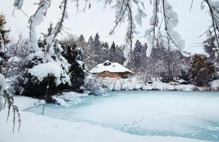 Dzikie południe - Foto 20