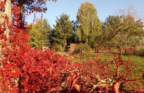 NEU! Ferienwohnung Ahlbeck - Stettiner Haff - Foto 19