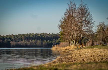 Ferienhaus Lucie Kiebitzsee - Foto 24
