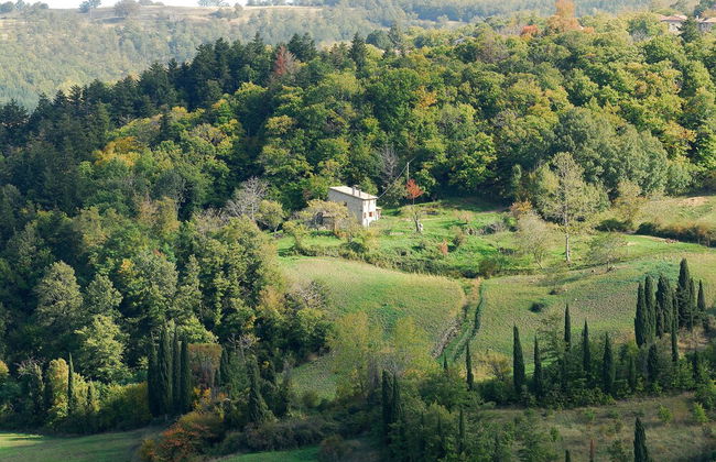 Agriturismo La Piaggia Vivo D'orcia - "once Upon a Time" Apartment - 3 Guests - Foto 15