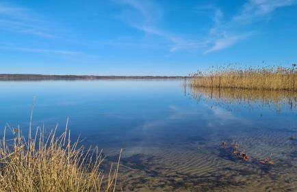 Ferienhaus Seeoase - 70qm - Kamin -Terrassen - Parkplatz - Badestelle fußläufig - Photo 28