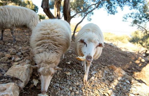 Holiday Home Ruby - Foto 48