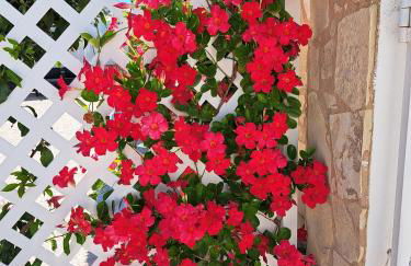 Villa Mariamar - Foto 13