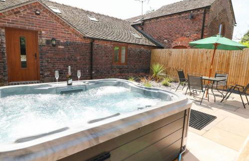 Pipistrelle - Foto 14