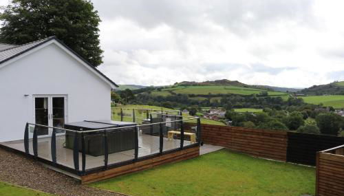 Llwynblyfyn - Foto 5