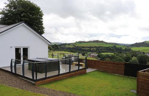 Llwynblyfyn - Foto 5