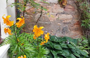 Oil Mill Lane Holiday Cottage - Foto 13