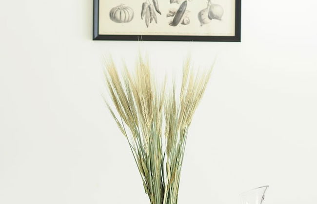 Lake View 7th Floor Studio next to Downtown - Foto 19