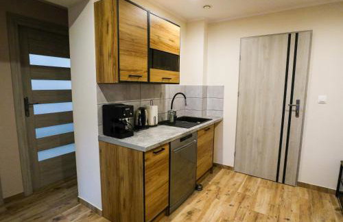 Przycup w Karkonoszach Apartamenty APARTAMENTY W OKOLICY KARPACZA 7 MINUT OD KARPACZA Marczyce SosnówkaKarkonosze, Karpacz, Szklarska Poręba- Sauna Fińska - Foto 41