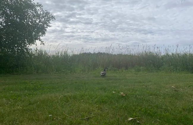 2 Person Holiday Home in Solvesborg-by Traum - Photo 3