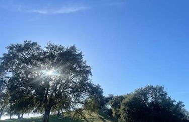 Casa rural La Frambuesa - Foto 43