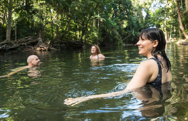 Excursión a Daintree, Mossman Gorge y Cape Tribulation - Foto 6