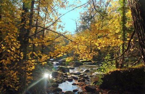 Adorable Cabane dans un espace boisé - Foto 19