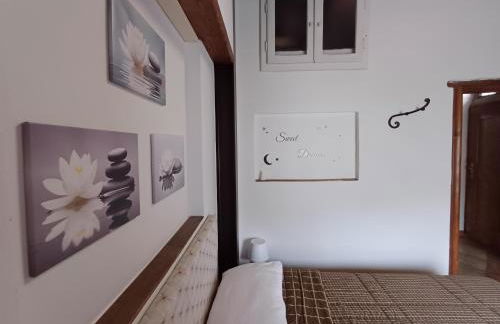 La Casetta di Noah - Foto 22