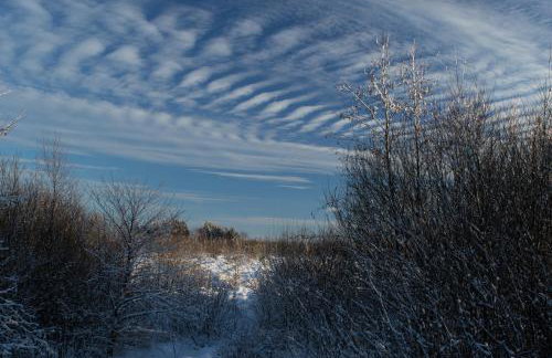 Ferienhaus Vennblick - Foto 55