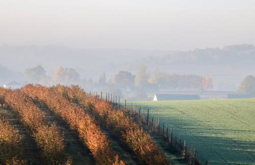 Holiday Home Moja Mała Toskania by Interhome - Foto 44