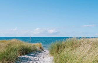 Sünn un See - Hortensienblick - Foto 14