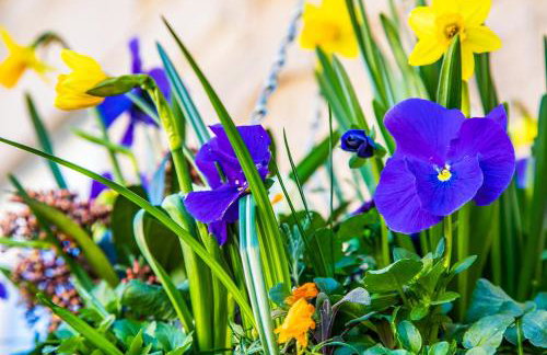 Buxton centre cosy cottage with free secure parking - Foto 26