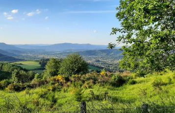 Gite châlet nature haute vosges - Foto 48