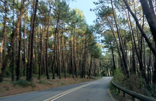 Precioso apartamento con piscina en la playa - Foto 47