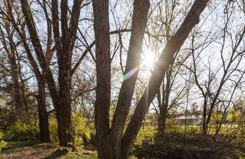 Spacious 5-Bedroom Retreat for 12 in Serene Neighborhood Near Louisville's Best Attractions - Photo 37