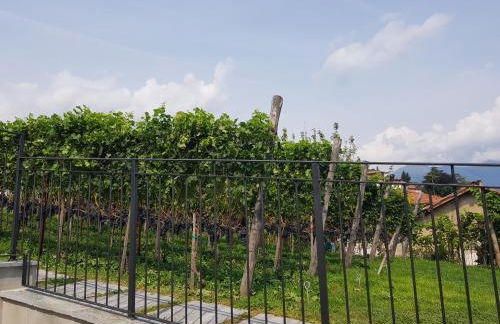 Bellagio Il Crotto - Foto 30