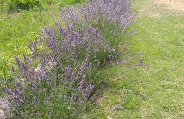 maison piscine privée Robion Luberon idéal famille - Foto 10